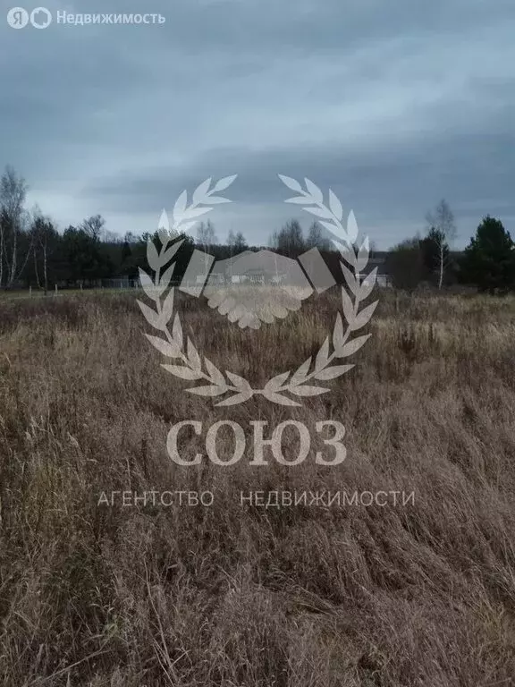 Участок в Тульская область, городской округ Алексин, село Сотино (15 ... - Фото 1