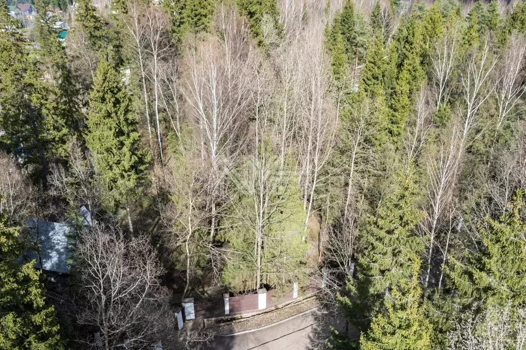 Участок в Московская область, Наро-Фоминский городской округ, д. ... - Фото 2