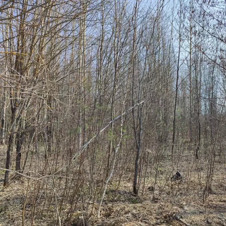 Участок в Московская область, Электрогорск Павлово-Посадский городской ... - Фото 0