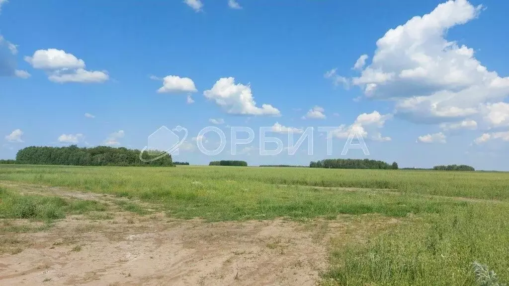 Участок в Тюменская область, Тюменский район, с. Горьковка  (13.09 ... - Фото 1