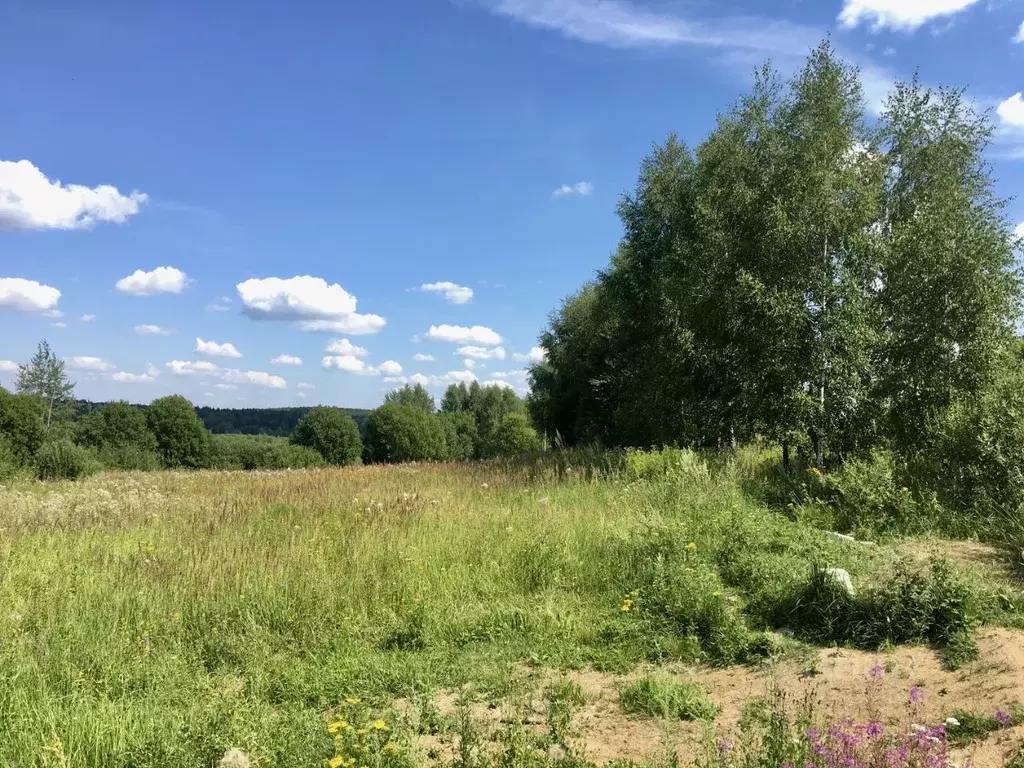 Участок в Московская область, Солнечногорск городской округ, д. ... - Фото 0