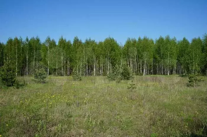 Участок 9,1 сот. (СНТ, ДНП) - Фото 0