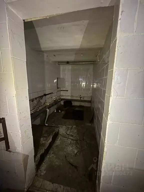 Помещение свободного назначения в Омская область, Омск ул. Ленина, 2 ... - Фото 1