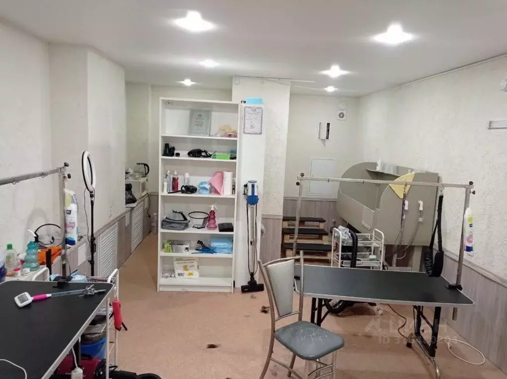 Помещение свободного назначения в Самарская область, Самара ул. ... - Фото 1