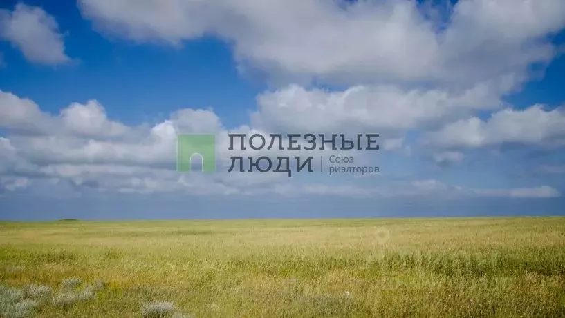 Участок в Крым, Черноморский район, с. Межводное пл. Центральная ... - Фото 1