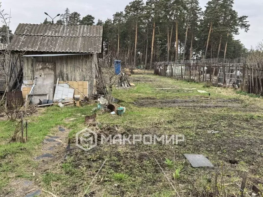 Участок в Брянская область, Брянск Больничный Городок СНТ,  (6.0 сот.) - Фото 2