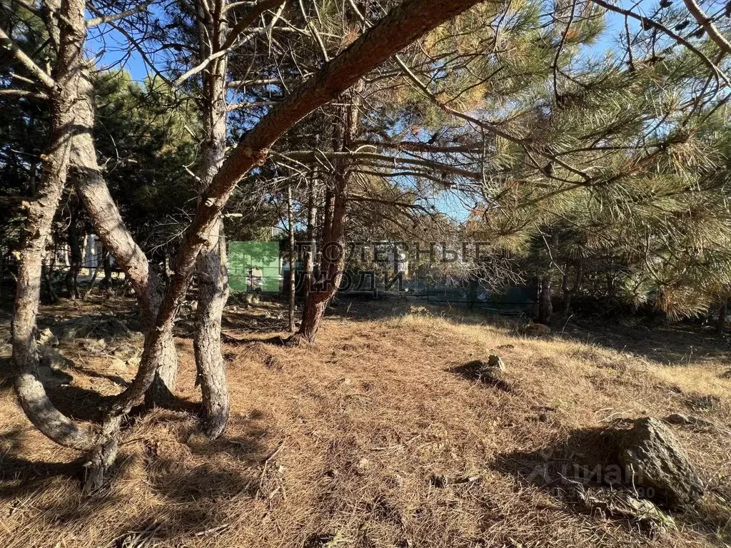 Участок в Севастополь Балаклавский муниципальный округ, Лазурь ТСН, 26 ... - Фото 1