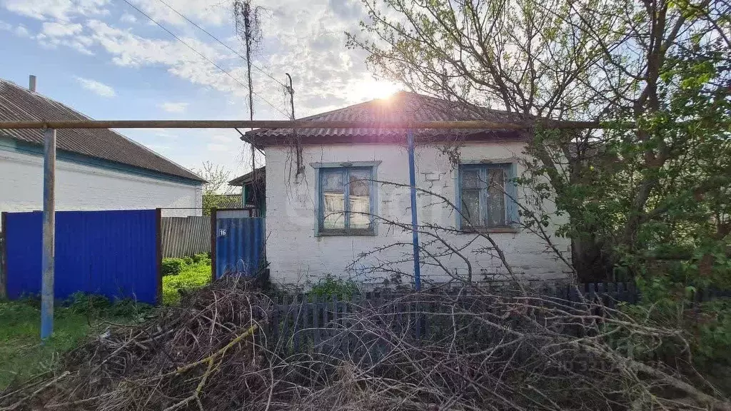 Дом в Белгородская область, Волоконовский район, Грушевское с/пос, с. ... - Фото 1