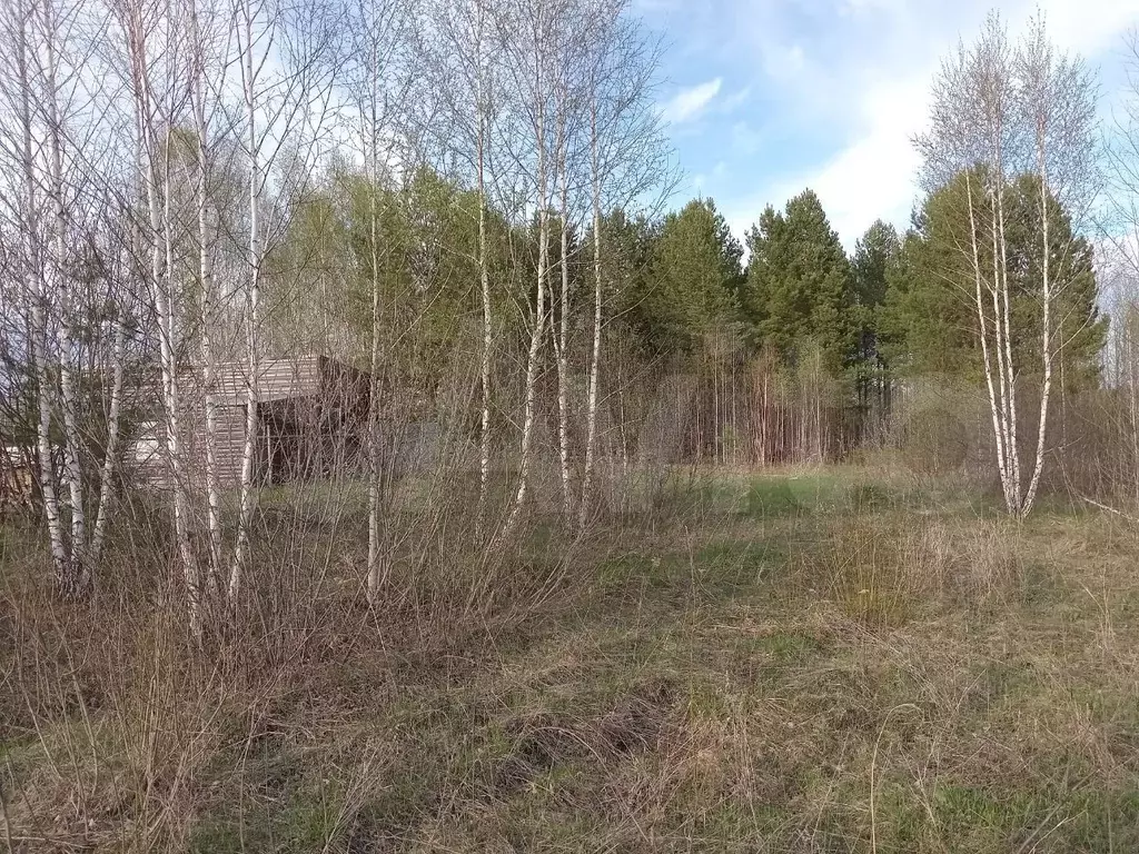 Участок 12 сот. (ИЖС) - Фото 1