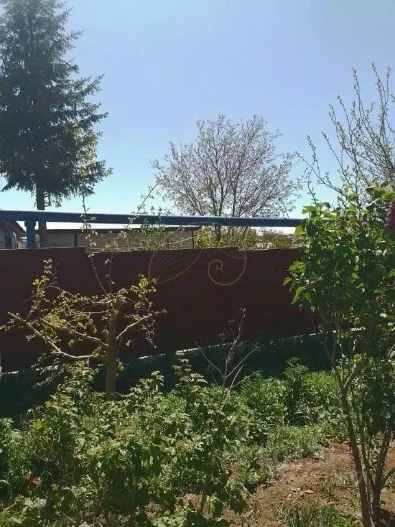 Участок в Крым, Симферопольский район, с. Родниково ул. Крымская (7.0 ... - Фото 2