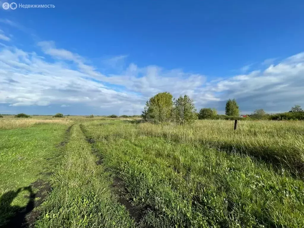 Участок в Лаишевский район, Кирбинское сельское поселение, деревня ... - Фото 1