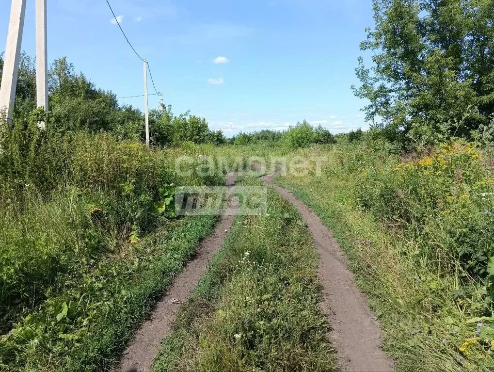 Участок в Пензенская область, Бессоновский район, с. Чемодановка ул. ... - Фото 1