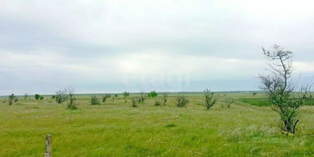 Участок в Крым, Ленинский район, с. Луговое ул. Шоссейная (450.56 ... - Фото 1