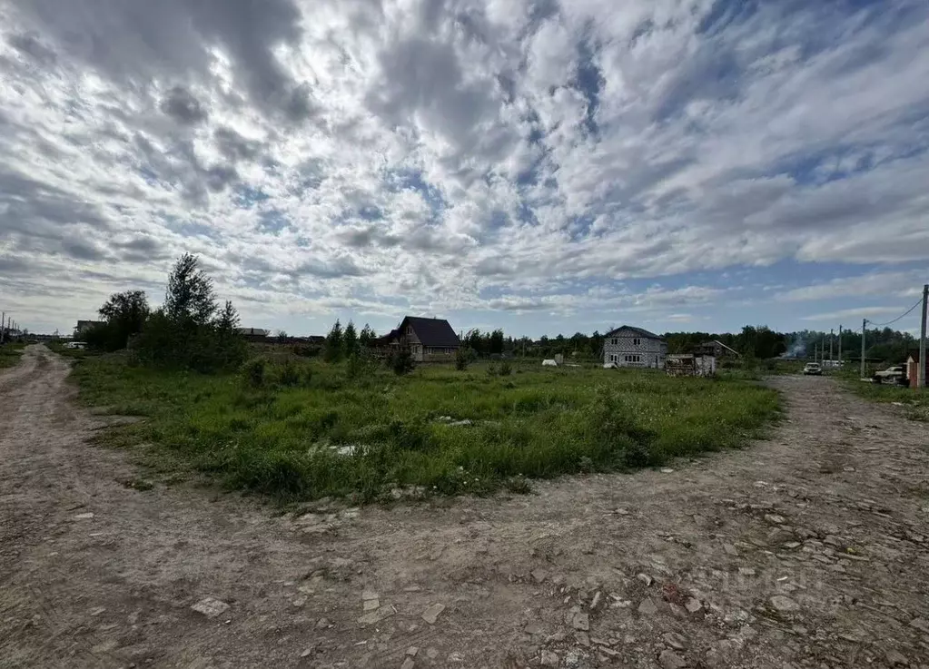 Участок в Новосибирская область, Новосибирский район, Станционный ... - Фото 2