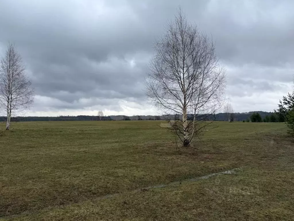 Участок в Пермский край, Ильинский муниципальный округ, д. Плотники ... - Фото 1