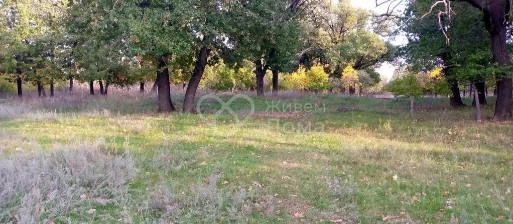 Участок в Волгоградская область, Среднеахтубинский район, Фрунзенское ... - Фото 0