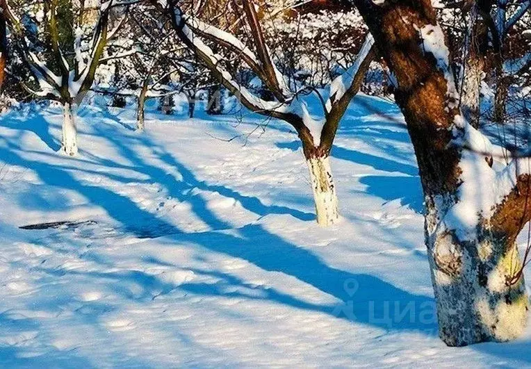 Дом в Чувашия, Шумерля ул. Островского (25 м) - Фото 1