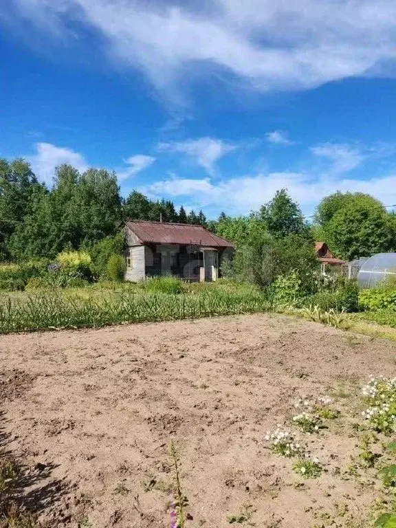 Участок в Кировская область, Киров  (6.6 сот.) - Фото 1