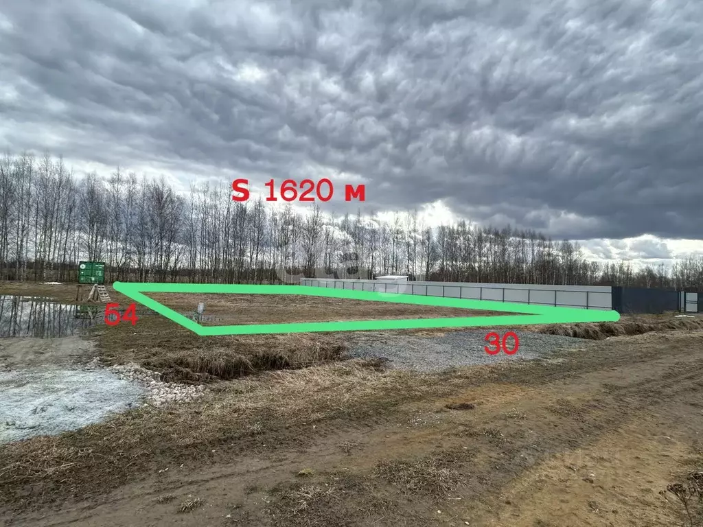 Участок в Ярославская область, Рыбинский муниципальный округ, д. ... - Фото 2