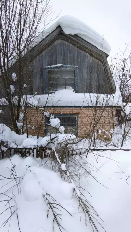 Участок в Кировская область, Киров Автомобилист садовое дачное ... - Фото 0