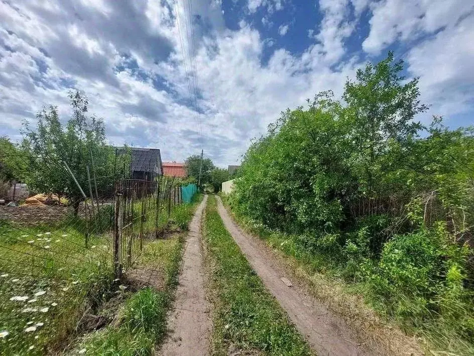 Участок в Воронежская область, Воронеж Березка СНТ, 299 (6.0 сот.) - Фото 1