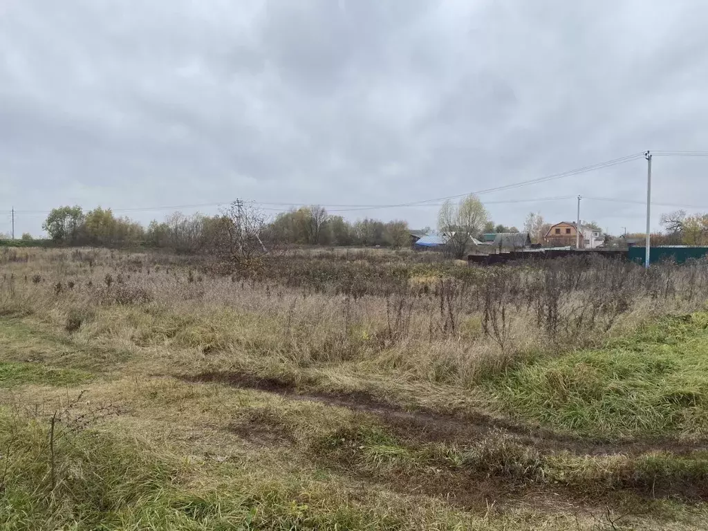 Участок в Московская область, Луховицы муниципальный округ, с. Ловцы  ... - Фото 1