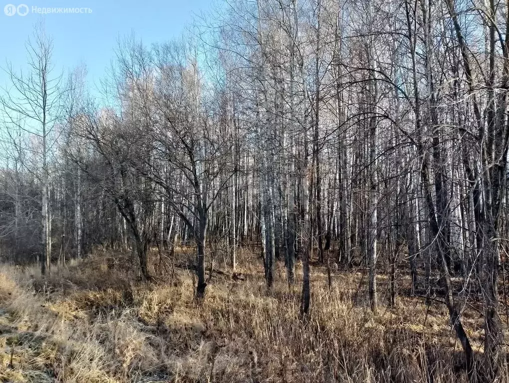 Участок в Нижнетавдинский район, село Тюнево (9.53 м) - Фото 1