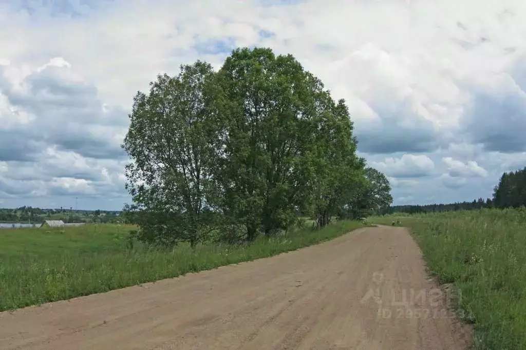 Участок в Новгородская область, Демянский муниципальный округ, с. ... - Фото 1