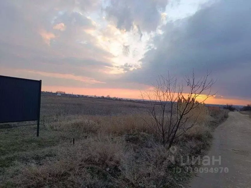 Участок в Ростовская область, Неклиновский район, с. Приморка Верхняя ... - Фото 1