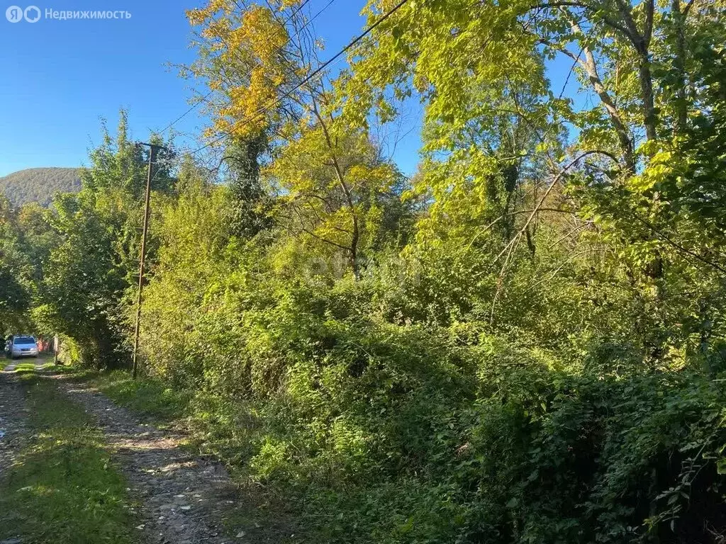 Участок в Краснодарский край, городской округ Сочи, село Верхний Юрт ... - Фото 0