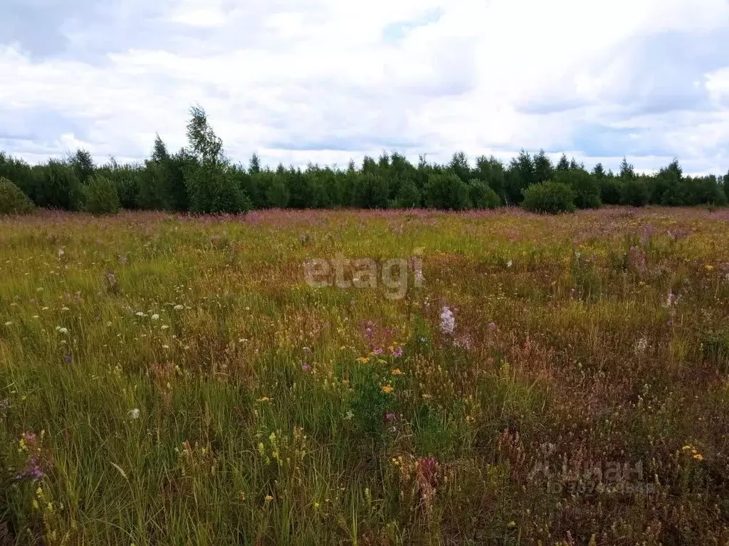 Участок в Ульяновская область, Старая Майна рп ул. Самарская (5.0 ... - Фото 0