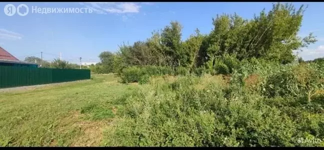 Участок в Большой Лог, улица Фадеева, 173 (17 м) - Фото 1
