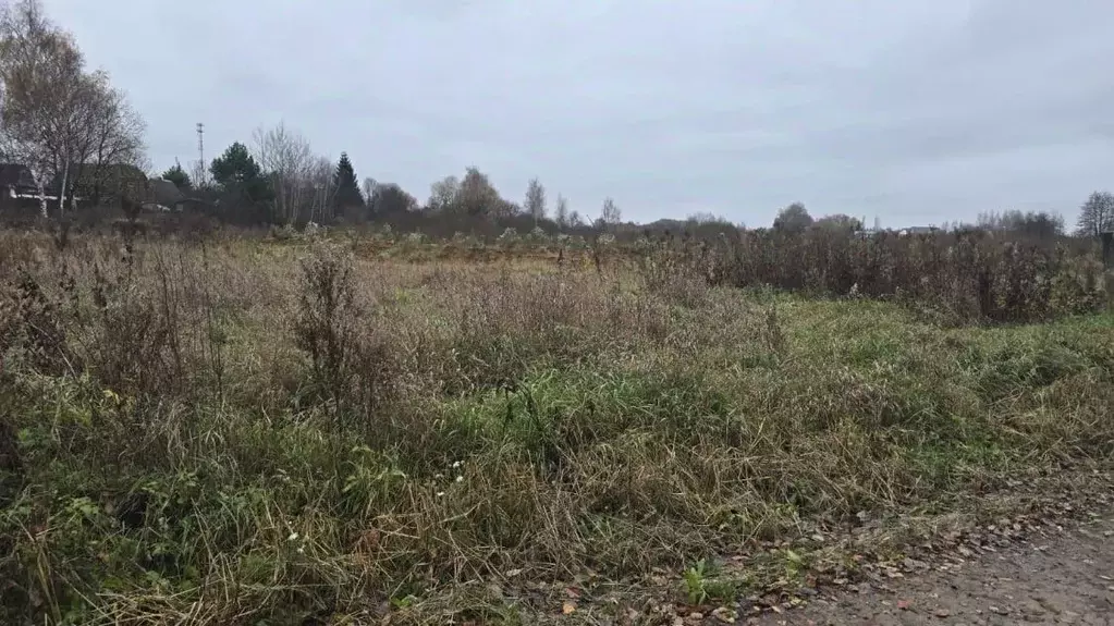 Участок в Московская область, Ступино городской округ, с. Васильевское ... - Фото 1