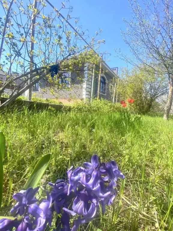 Участок в Ростовская область, Ростов-на-Дону Луч садовое товарищество, ... - Фото 2