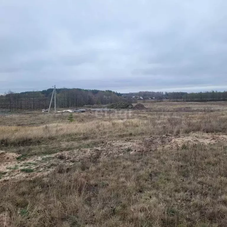 Участок в Владимирская область, Муром д. Коржавино,  (27.5 сот.) - Фото 1