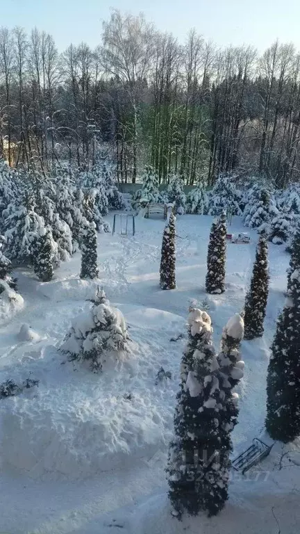 2-к кв. Московская область, Руза Парковая ул., 20 (57.0 м) - Фото 1