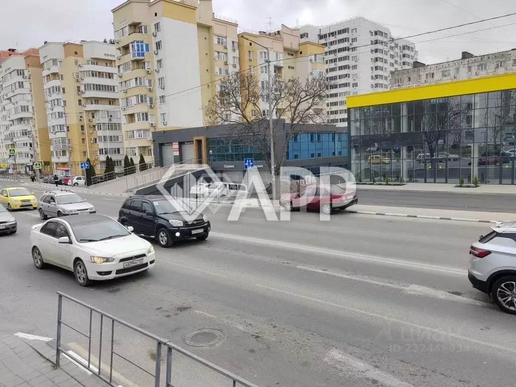 Помещение свободного назначения в Краснодарский край, Новороссийск ул. ... - Фото 0