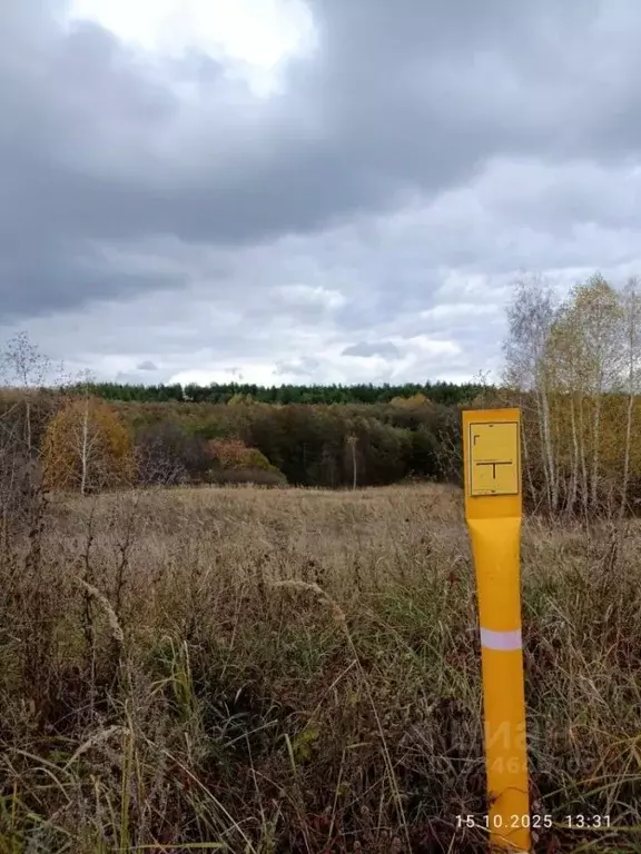 Участок в Тамбовская область, Сосновский муниципальный округ, с. ... - Фото 2