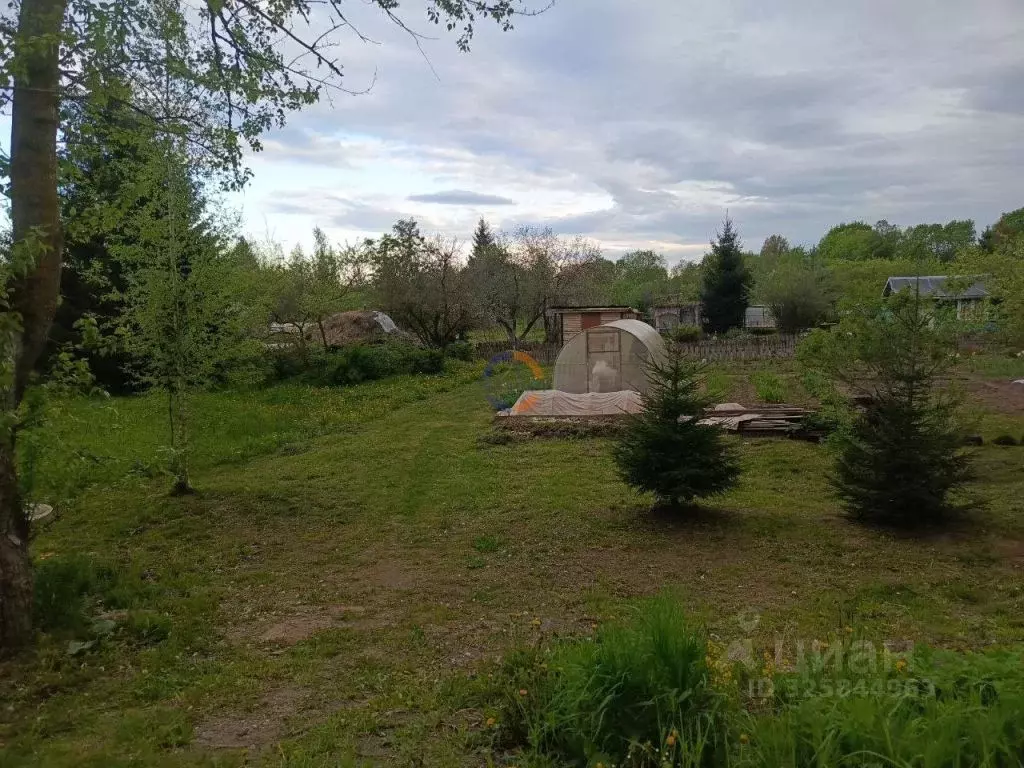 Участок в Новгородская область, Новгородский район, Трубичинское ... - Фото 1