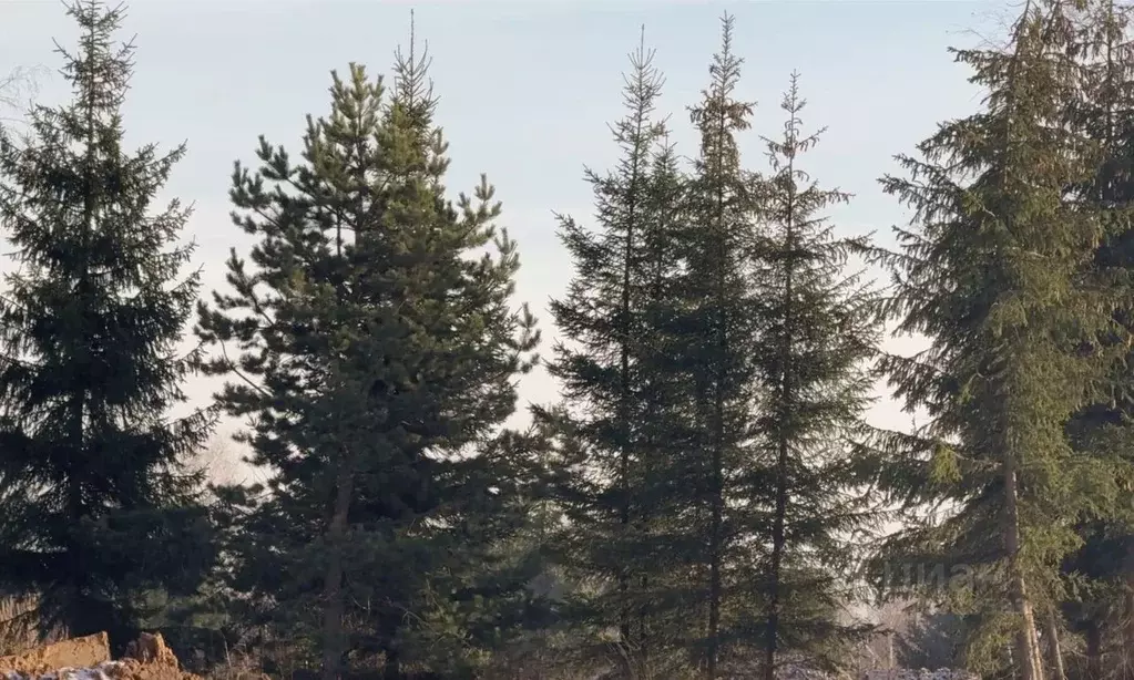 Участок в Москва Учетный 450 кв-л,  (25.0 сот.) - Фото 2