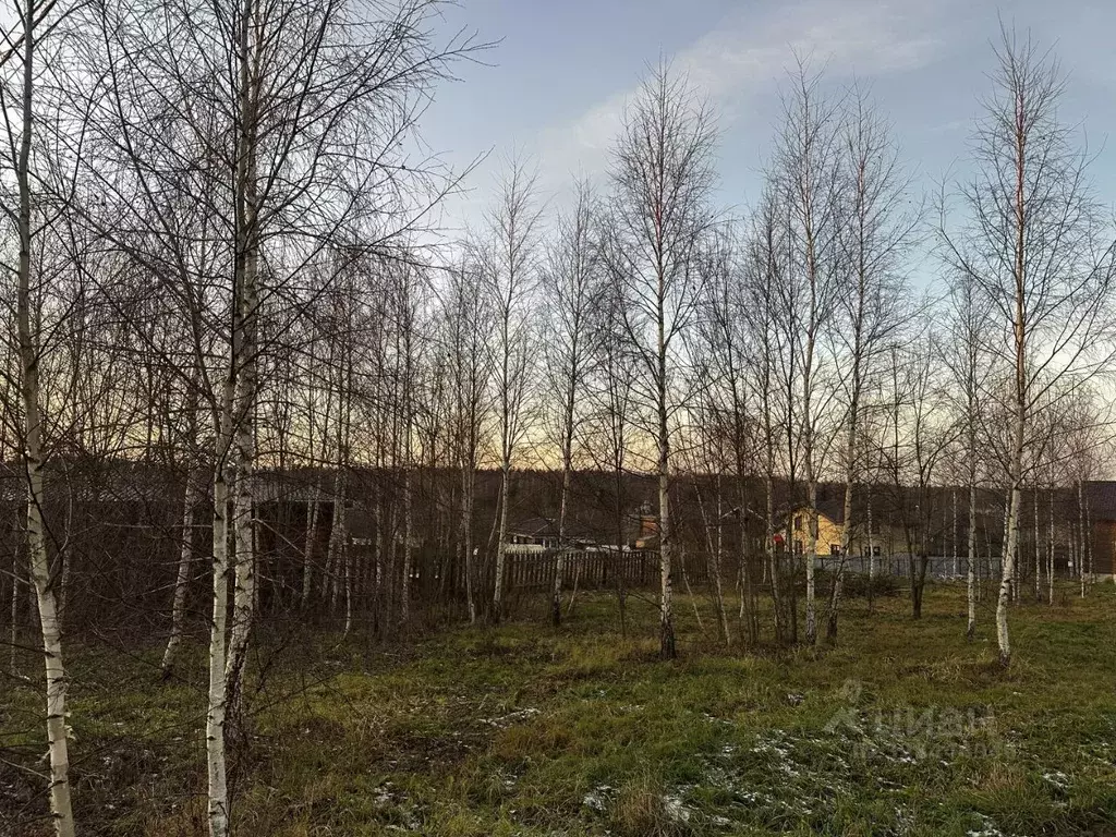 Участок в Московская область, Истра муниципальный округ, Снегири пгт ... - Фото 1