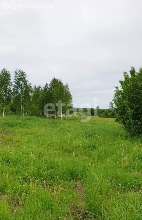 Участок в посёлок Пенькозавод, Заводская улица (37 м) - Фото 2