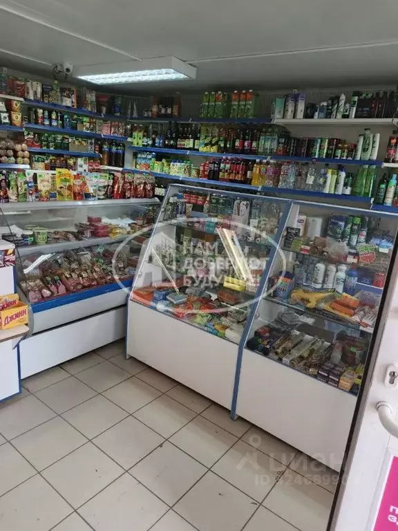 Торговая площадь в Пермский край, Чернушинский муниципальный округ, д. ... - Фото 2