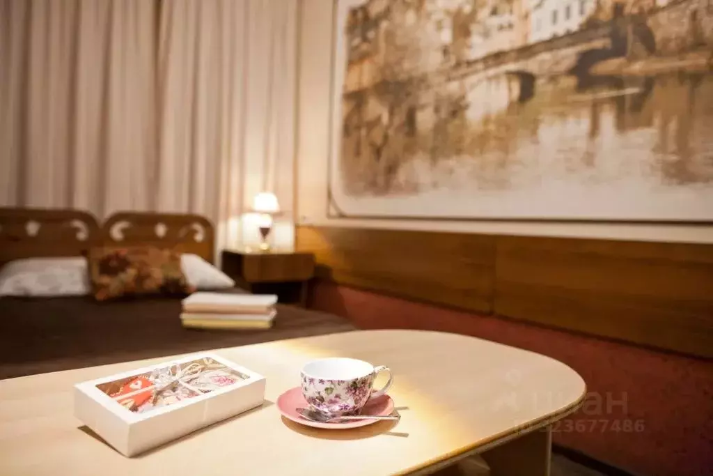 Комната Санкт-Петербург 1-я Советская ул., 12 - Фото 2