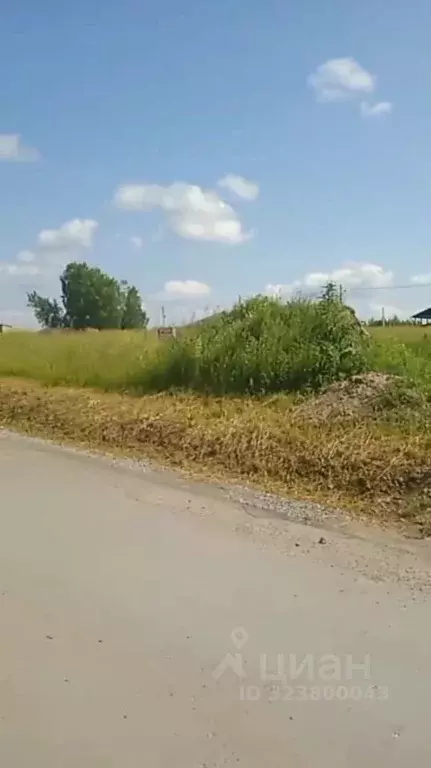 Участок в Новосибирская область, Новосибирский район, с. Плотниково  ... - Фото 2