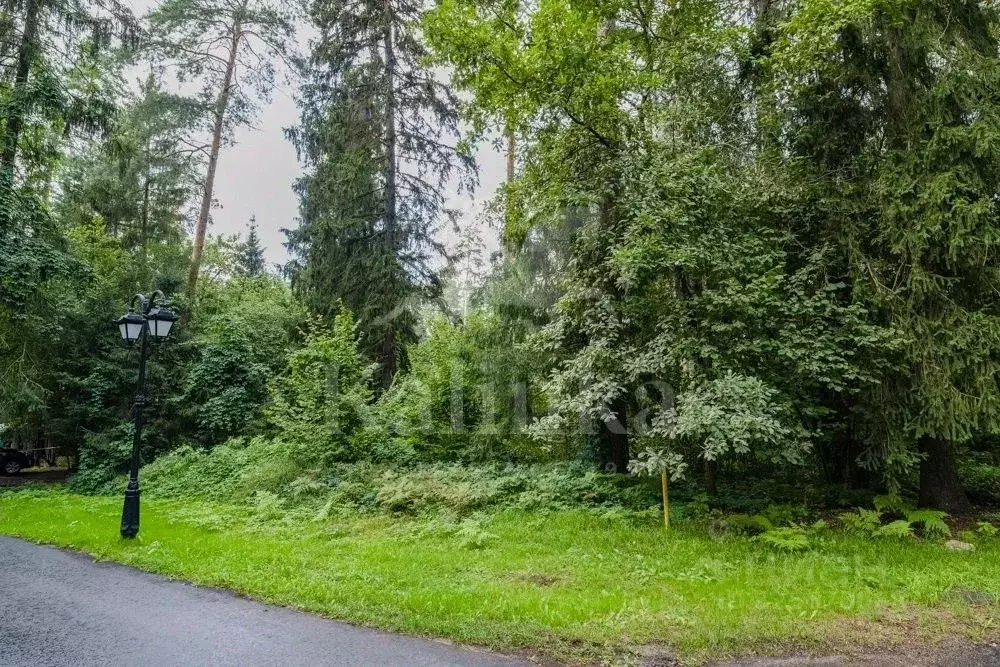 Участок в Московская область, Одинцовский городской округ, д. Дарьино  ... - Фото 0