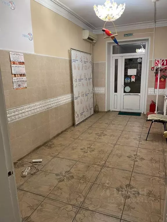 Помещение свободного назначения в Краснодарский край, Новороссийск ул. ... - Фото 0