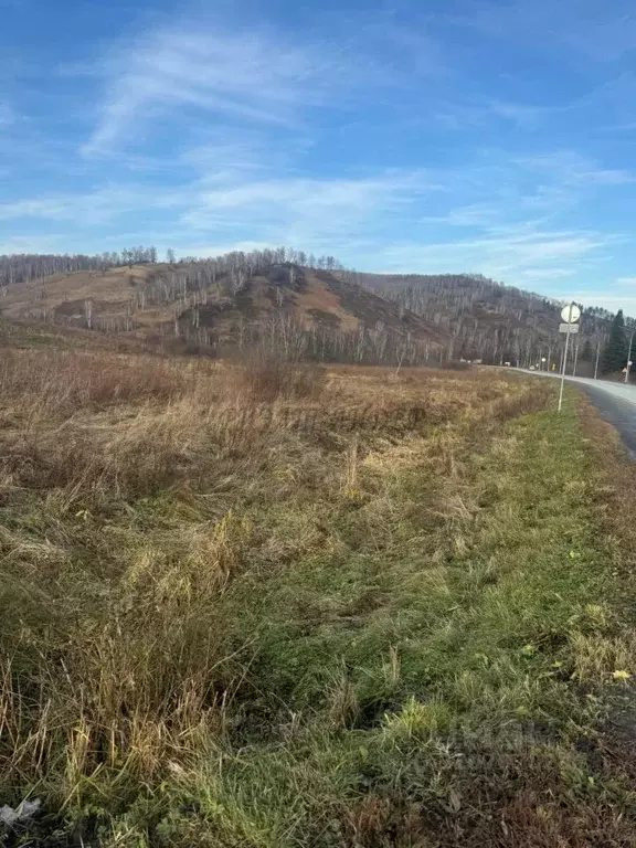 Участок в Алтай, Чойский район, с. Сугул Поселковая ул. (20.0 сот.) - Фото 1