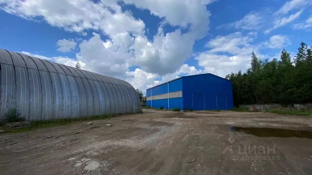 Склад в Новгородская область, Новгородский район, Панковское городское ... - Фото 2