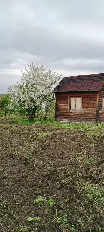Участок в Новосибирская область, Колыванский район, Надежда СТ ул. ... - Фото 0